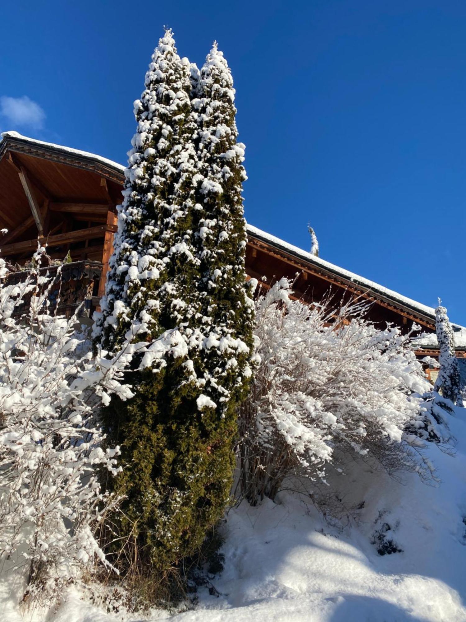 Lodge Micro-lodge, Jardin Secret *