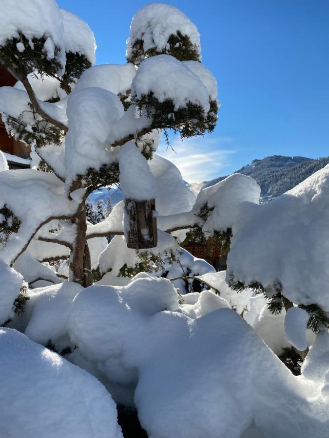 Micro-lodge, Jardin Secret Lodge *