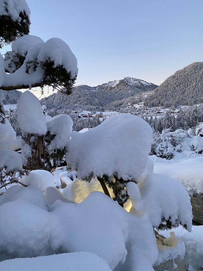 Micro-lodge, Jardin Secret * Montriond