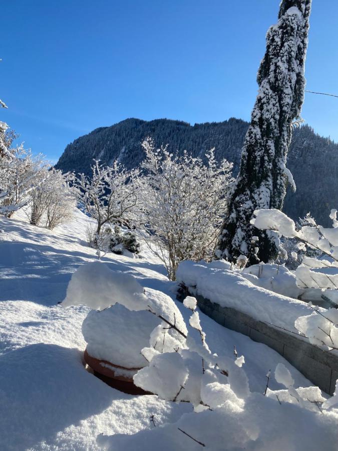Micro-lodge, Jardin Secret * Montriond