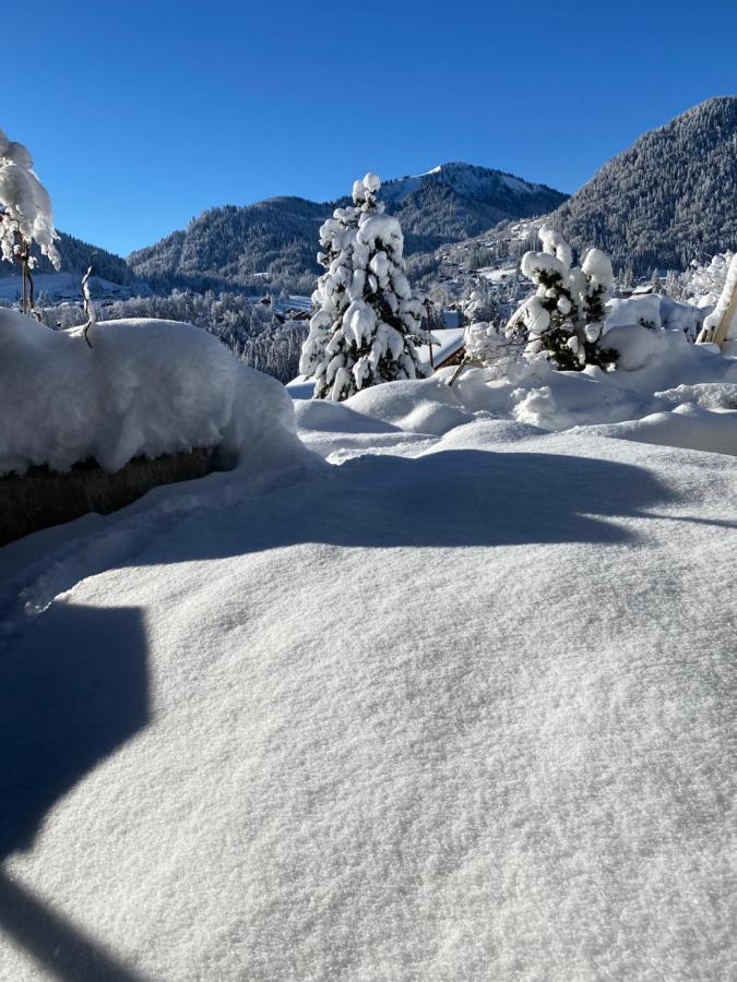 Lodge Micro-lodge, Jardin Secret Montriond